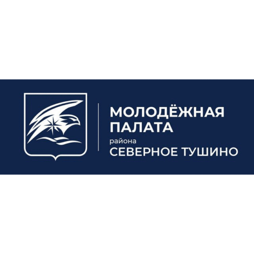 молодежная-палата